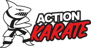 Franchise Solutions Single - ACTION KARATE